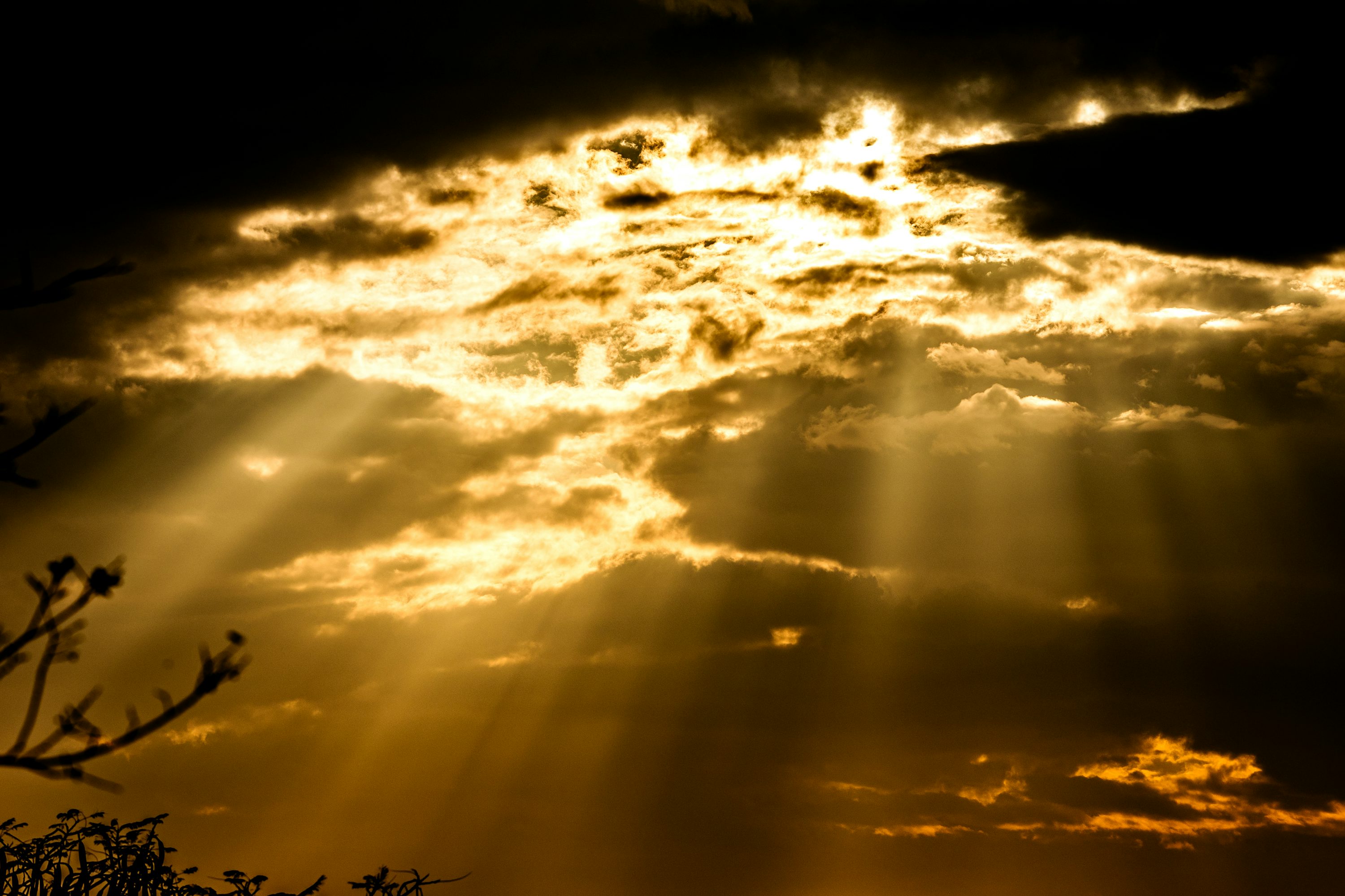 Our Only Light...