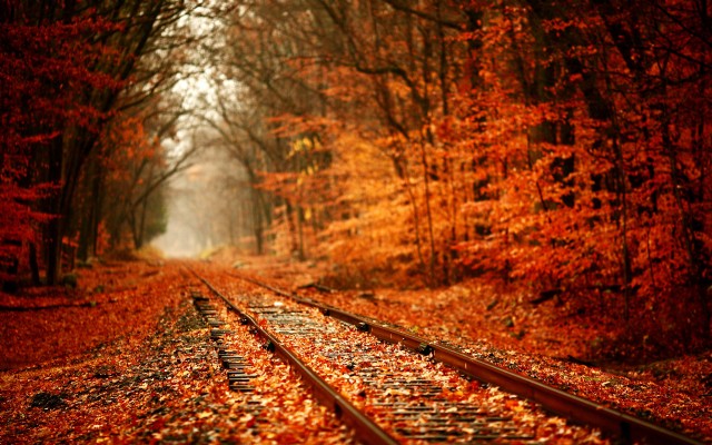 Autumn Never Rusts Away
