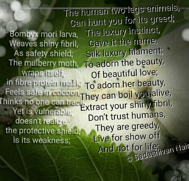 Silk Luxury Filament; To Adorn The Beauty,