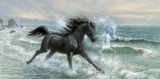 Stallion Reign