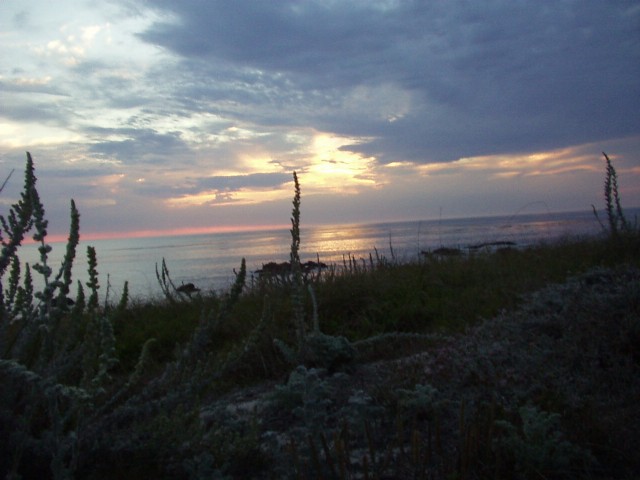 Wonders Along Travels Strange