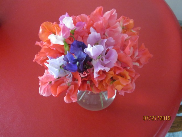 Another Bouquet Of Sweet Peas