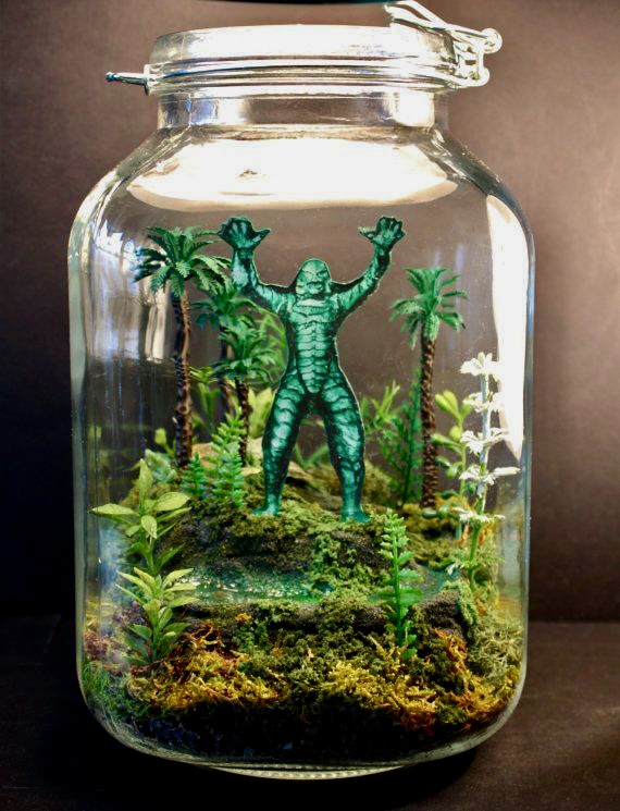 Terrarium Life