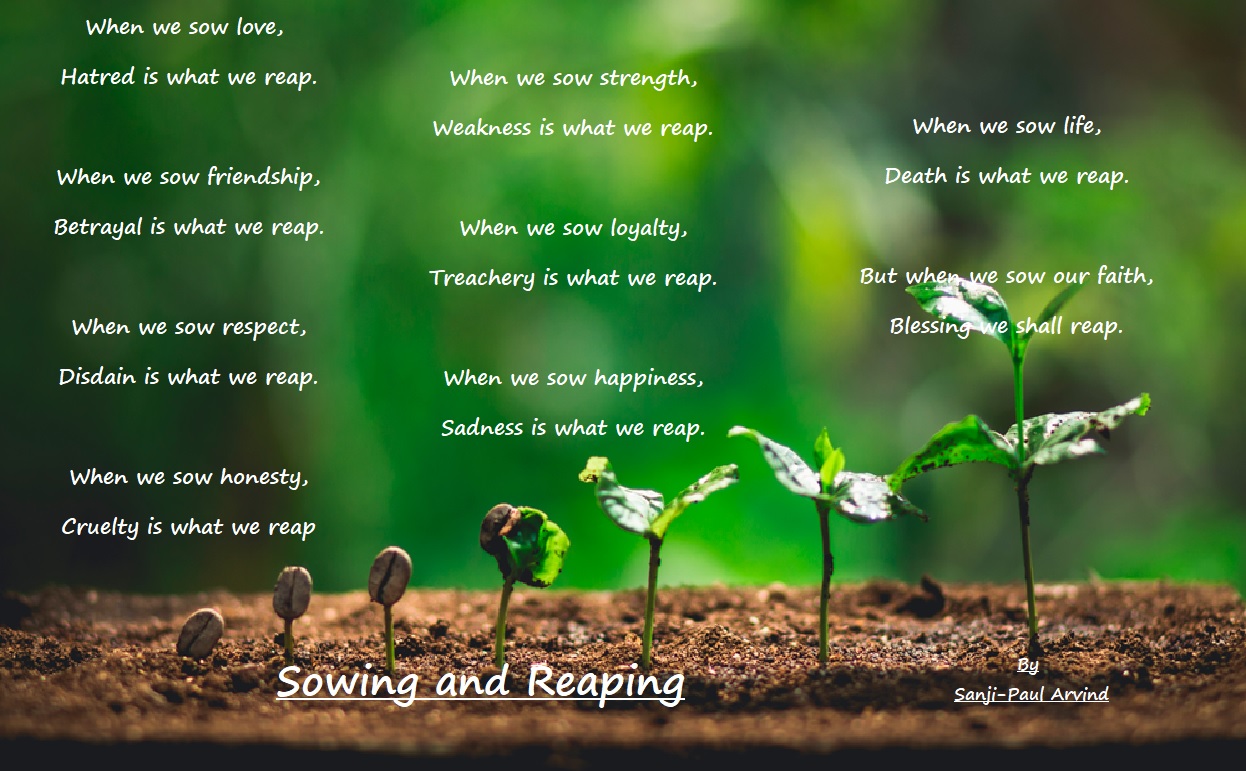 Sowing And Reaping