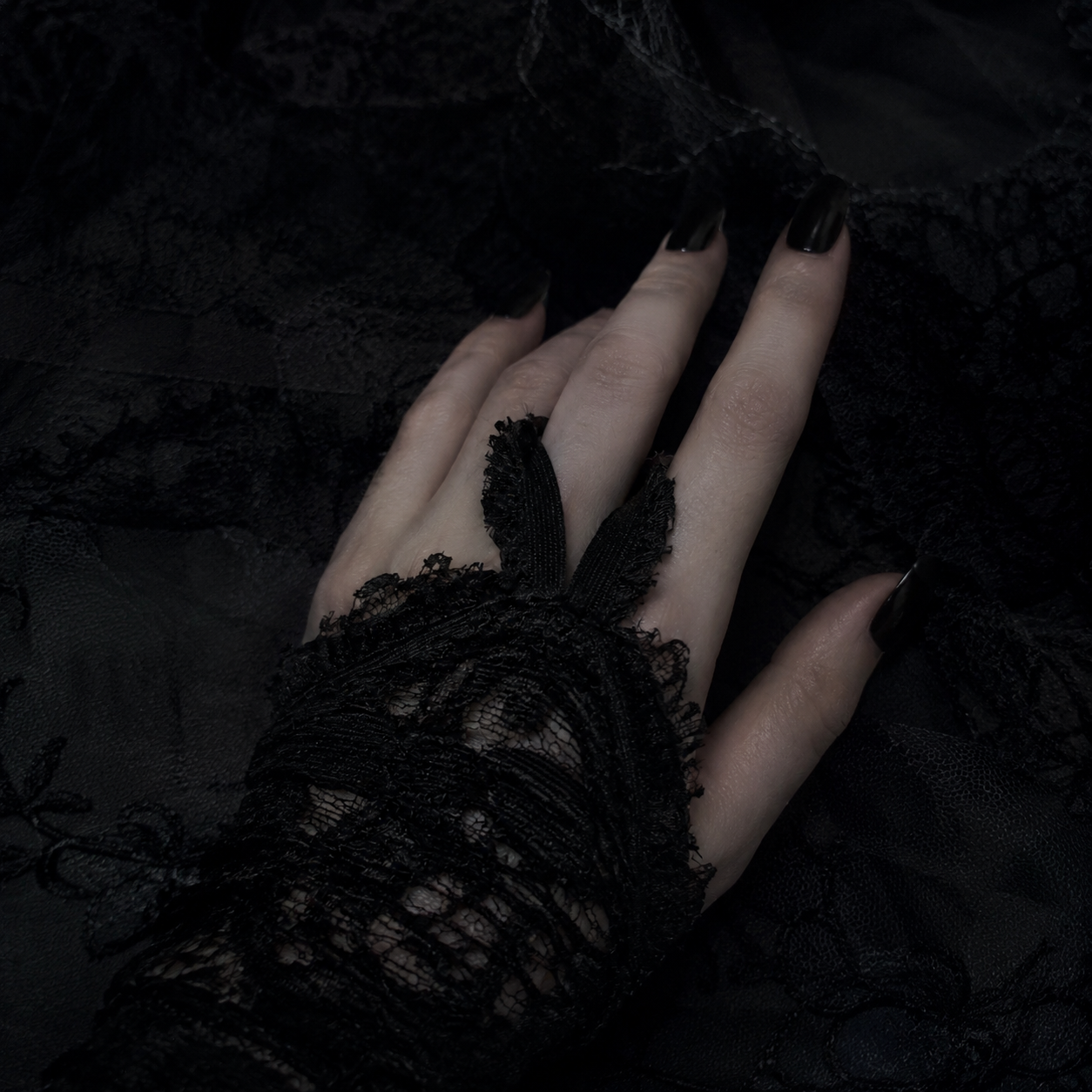 The Contract Of Shadows