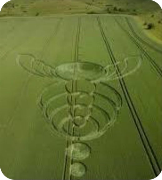 Crop Circles