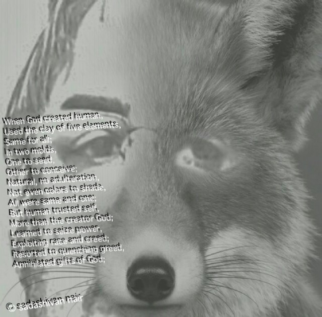 When God Created Human