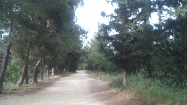 {τίποτα Δε Χάθηκε Γιαγιά}