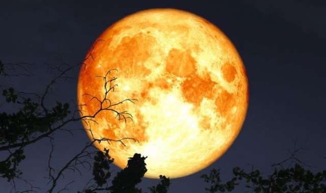 The Full Harvest Moon Tonight....