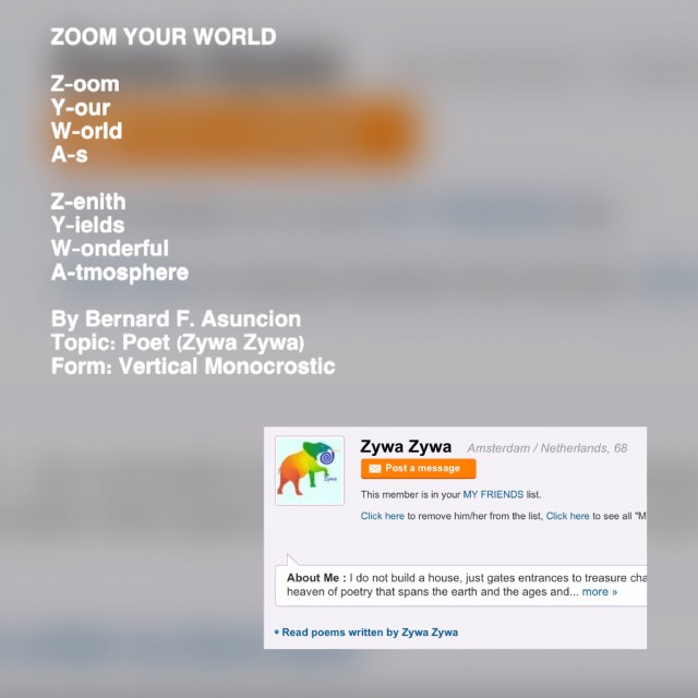 Zoom Your World