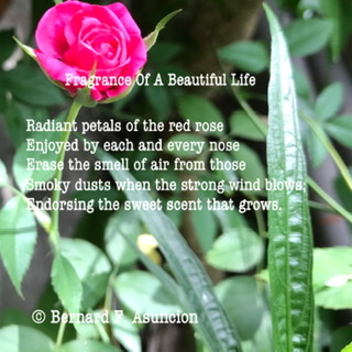Fragrance Of A Beautiful Life