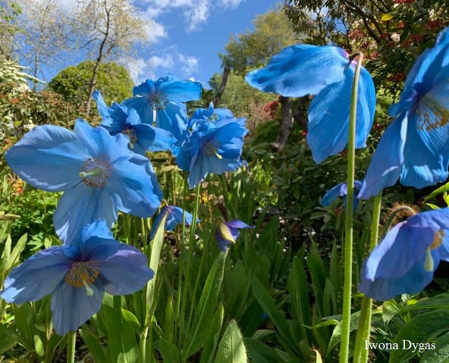 Where To Live Sans Earth?