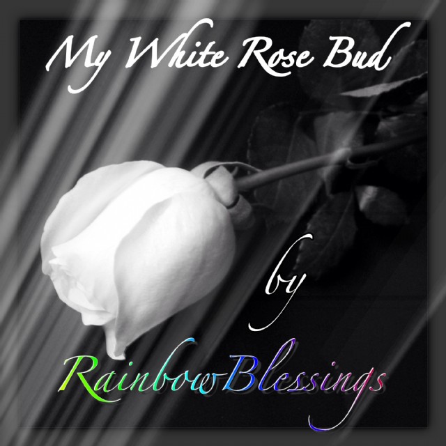 My White Rose Bud