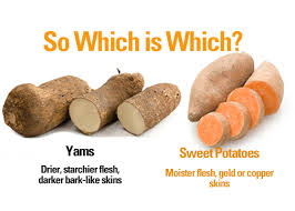 Yams For Thanksgiving (Educational)
