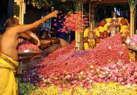 गुलों को चूम लो, न क़ुर्बान करो