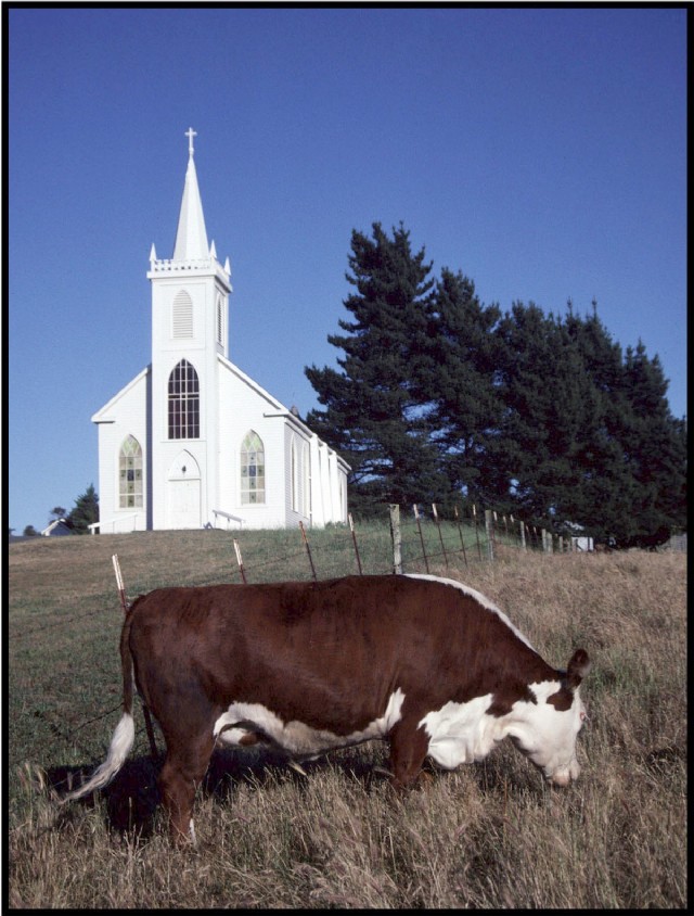Country, Cows And Churches