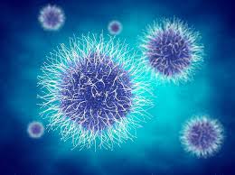 Diseases