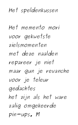 Het Speldenkussen
