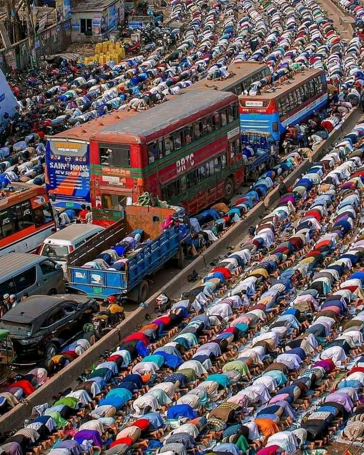 About Those Taking Muslims To Be Terrorists.
we're Not Terrorists But Muslims. The Terrorists Are None Believers
