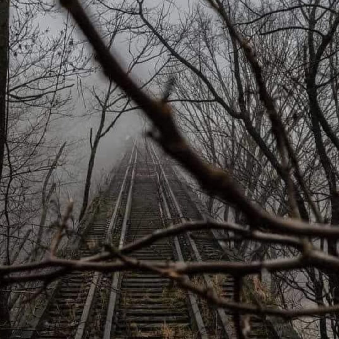 Those Unsaid Goodbyes