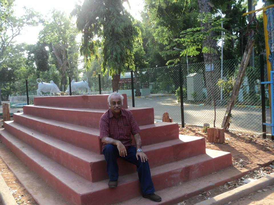 Flowers Bloom Despite Harsh Situation!