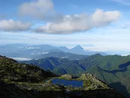 Life - The Search For El Dorado