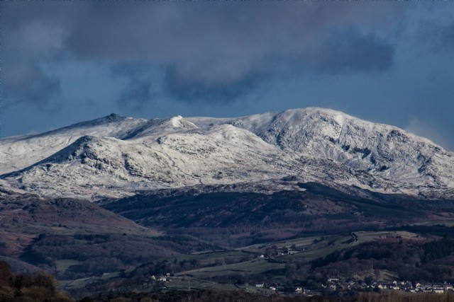 The Old Man In A Coat