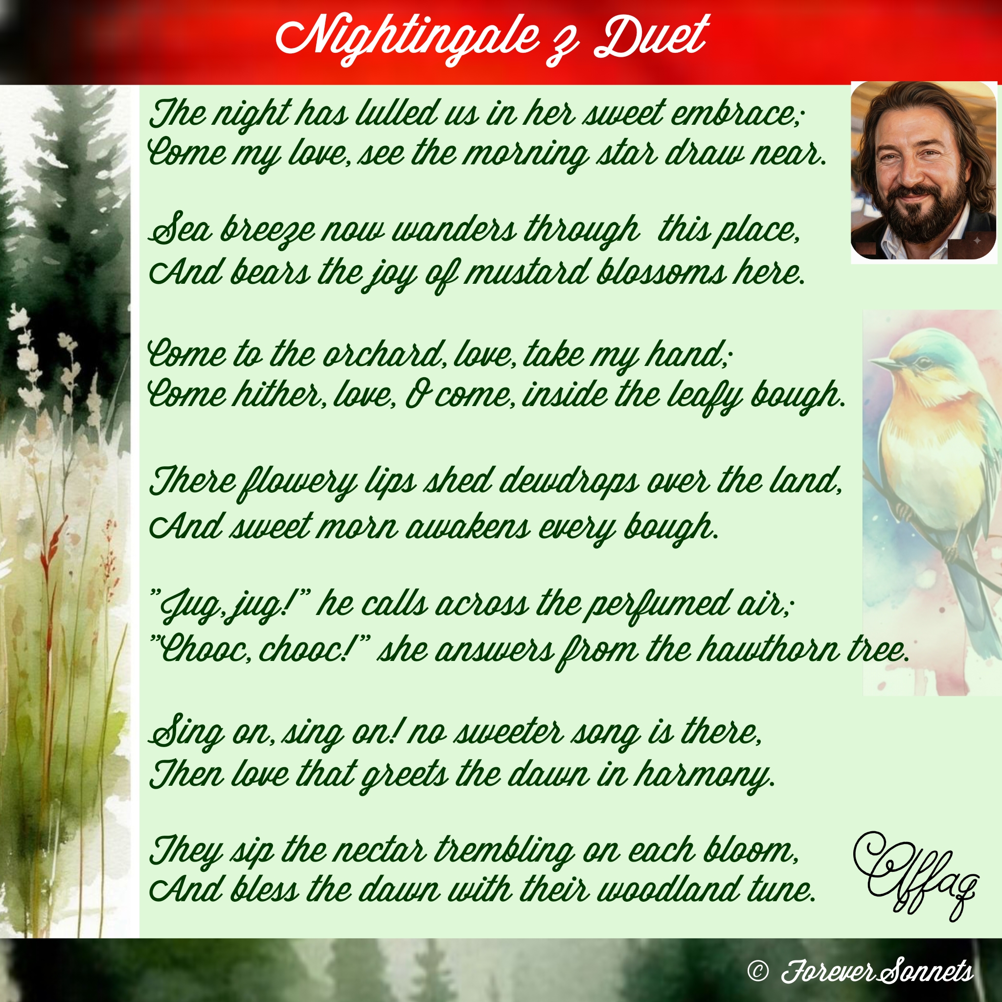 Nightingale 's Dulet