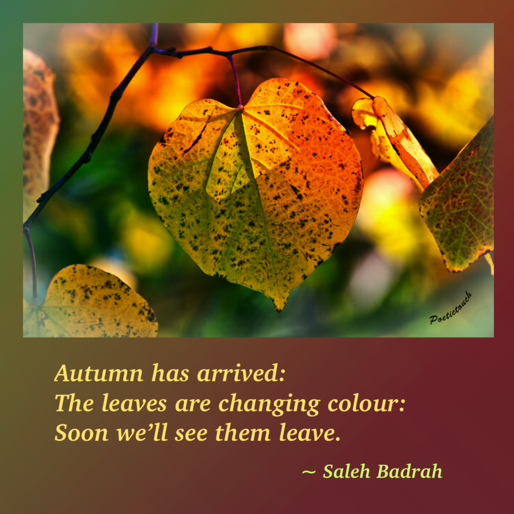 Autumn Has Arrived