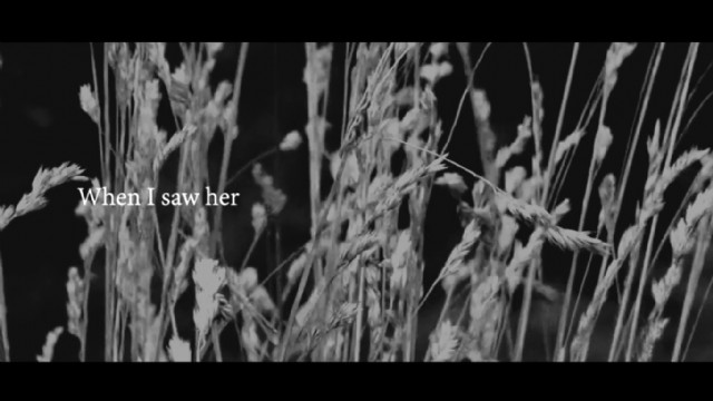 A Short History Of The Rose Haw