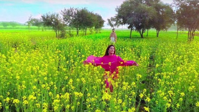 A Rural Punjabi Virgin In The Springs