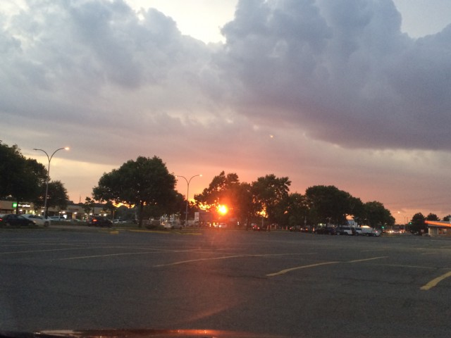 Widowed 2018 But 2019 A Virgin Emerges