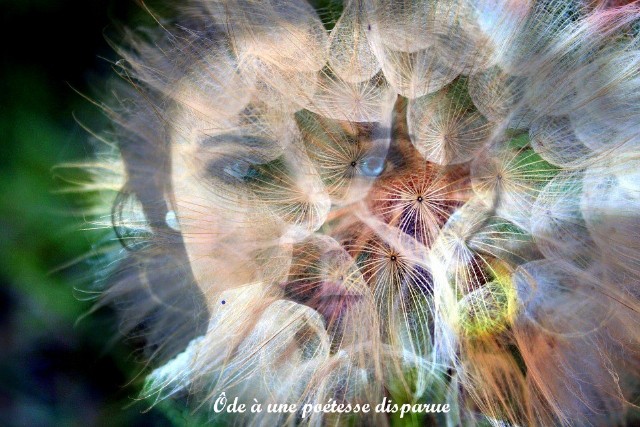 Ôde À Une Poétesse Disparue