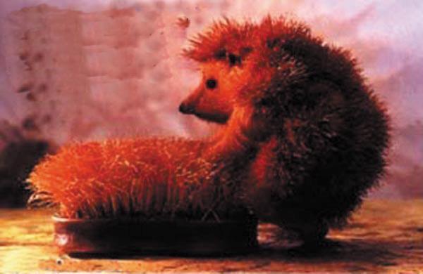 Hedgehog And The Brush ~ Jež I Četka