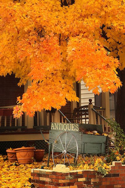 Beautiful Fall Colors