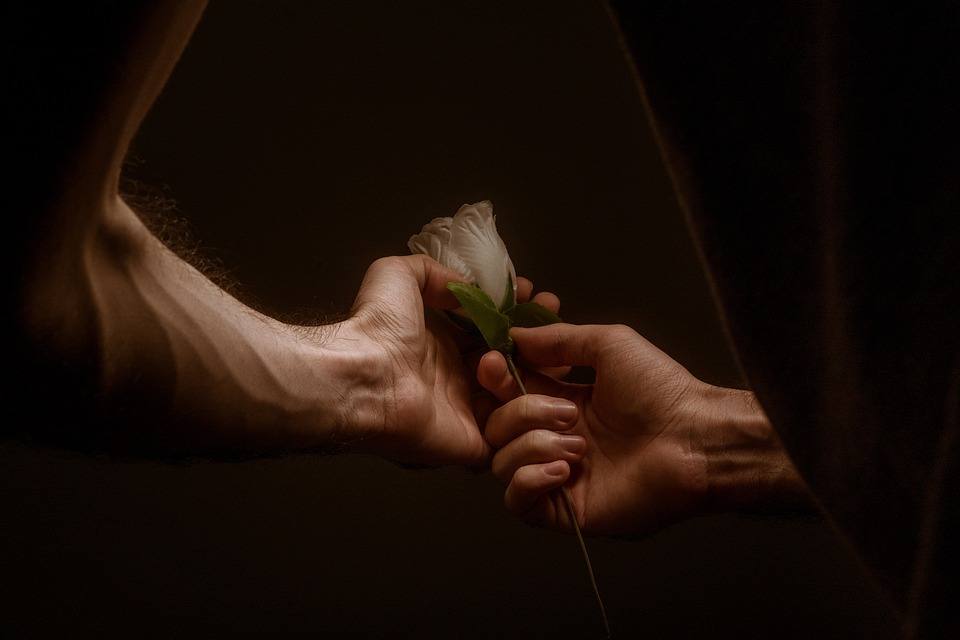 Roses