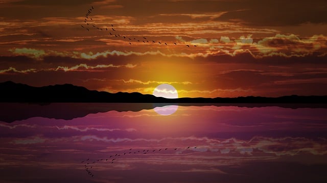 Mellow Moon
