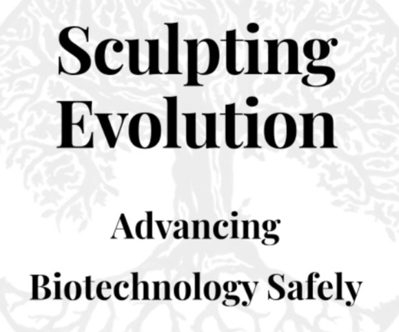 Artificial Intelligence, Sculpting Evolution And So On?