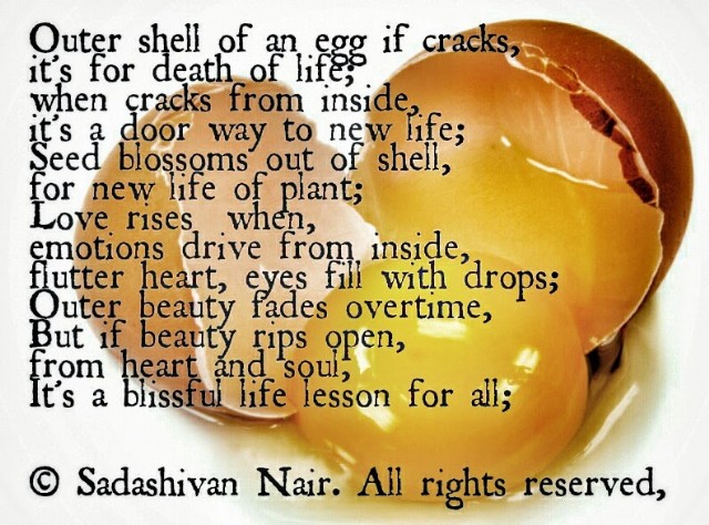 An Egg If Breaks From Outside