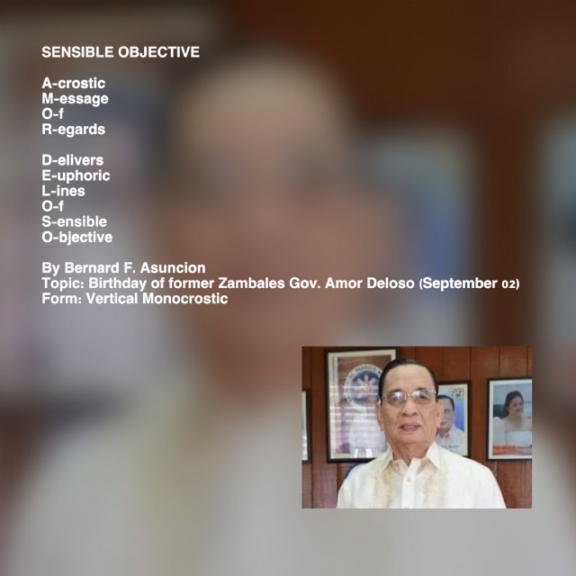 Sensible Objective