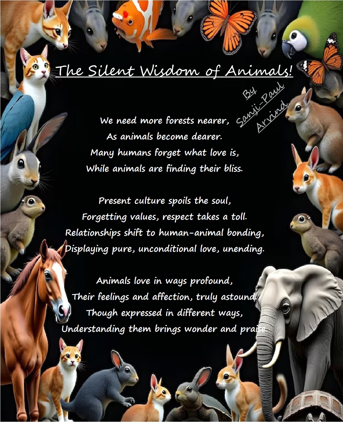 The Silent Wisdom Of Animals!