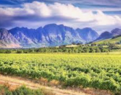Die Ou Afrikaanse Boer