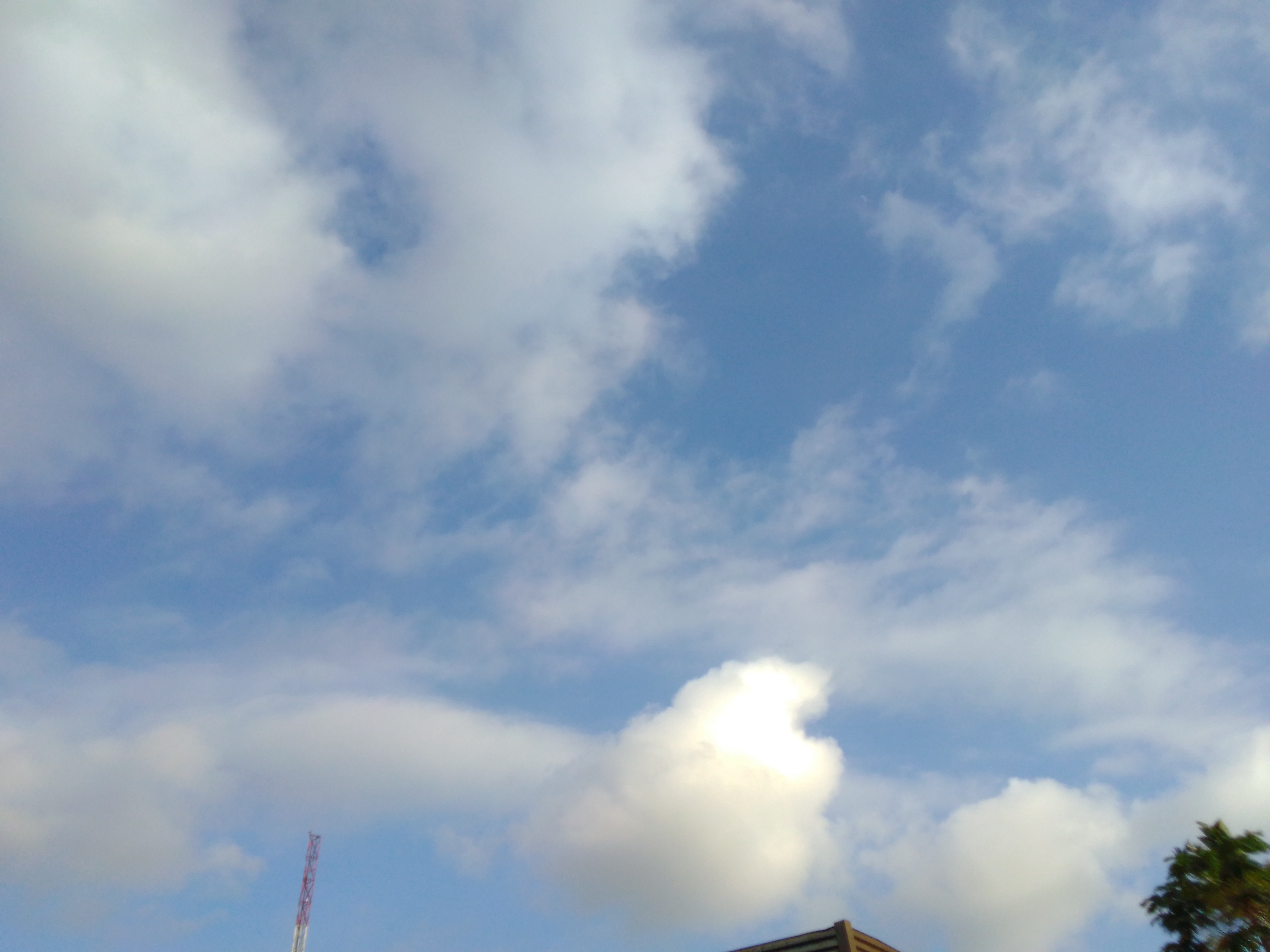 The Sky I Saw
