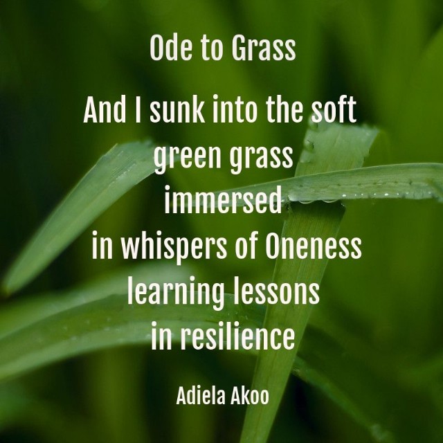 Ode To Grass