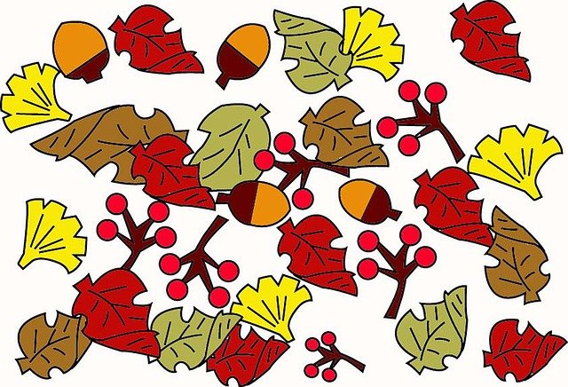 Acorns And Leaves Falling