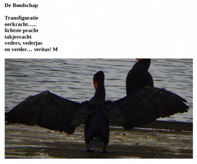 De Boodschap