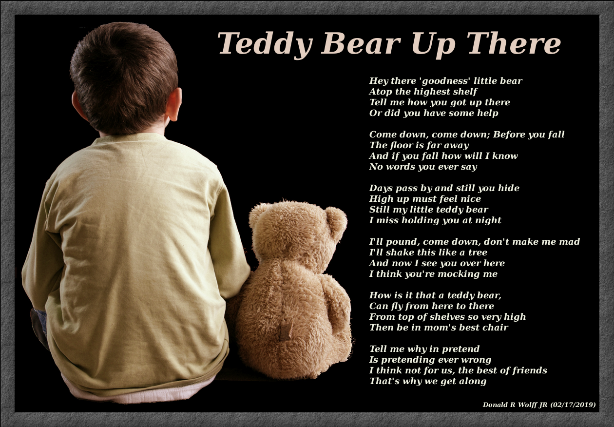 Teddy Bear Up There