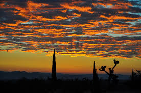 Whispers Of Dawn