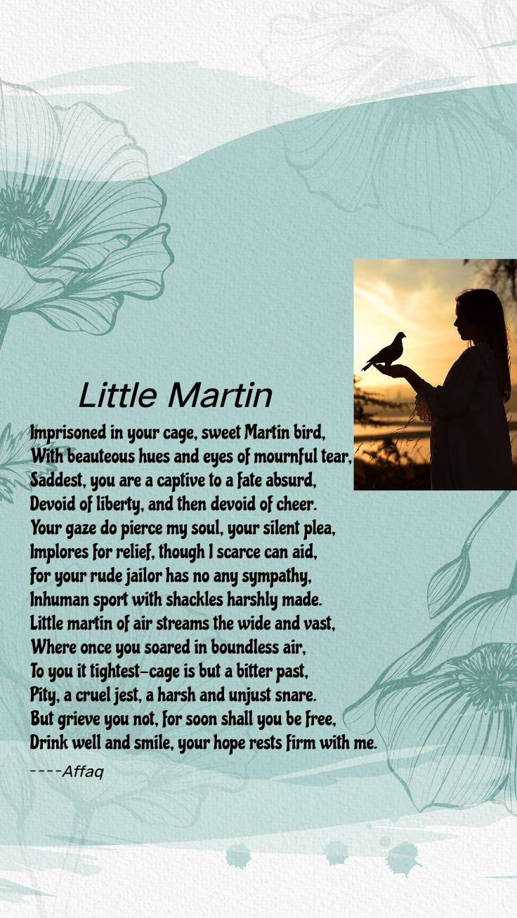 Martin Bird