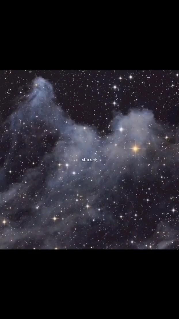 Little Stars In The Dark